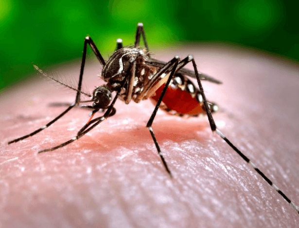 Malaria Ke Lakshan Aur Bachne Ke Upay