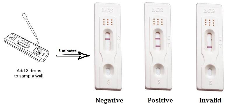 Pregnancy Test Kit Result